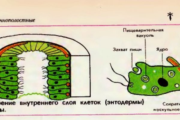 Кракен наркоплейс